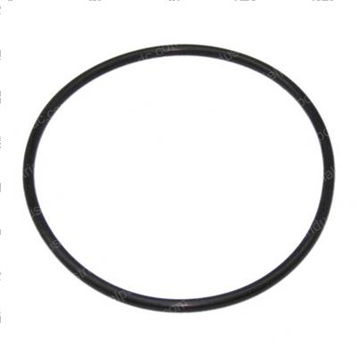 Picture of O-Ring