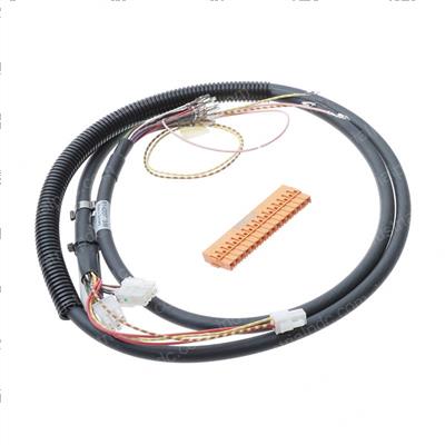 Picture of Harness
