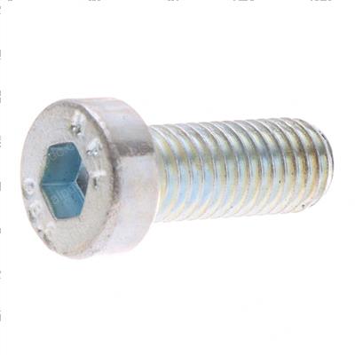 Picture of Screw M10