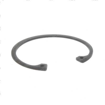 Picture of Retaining Ring