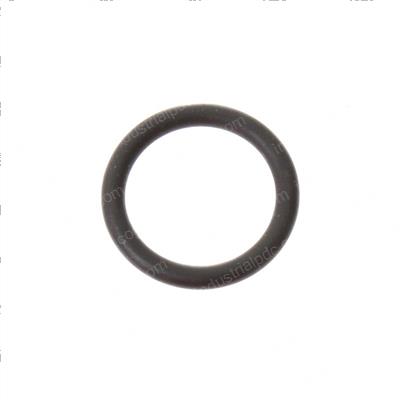 Picture of O-Ring