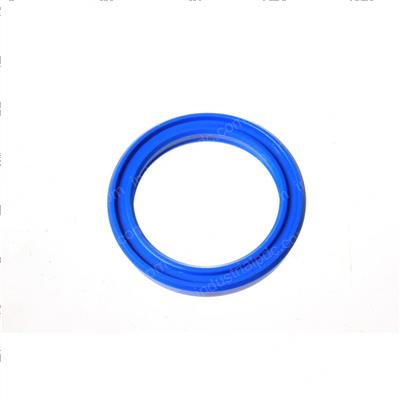 Picture of Seal