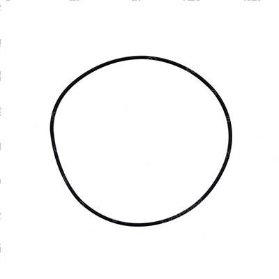 Picture of O-Ring