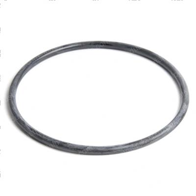 Picture of O-Ring