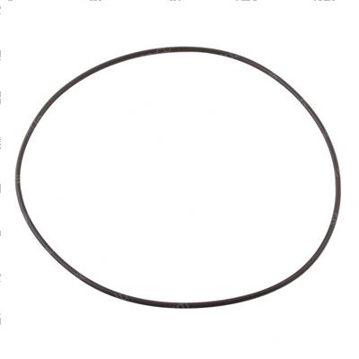 Picture of O-Ring