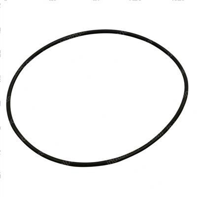 Picture of O-Ring