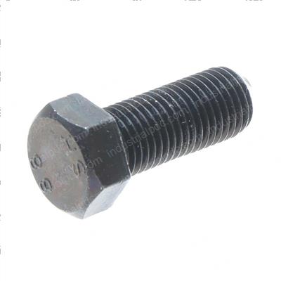 Picture of Bolt