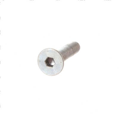 Picture of Screw