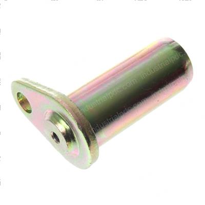 Picture of Pin