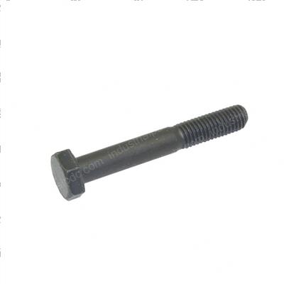 Picture of Bolt