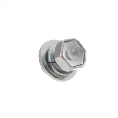 Picture of Bolt - W/ Washer