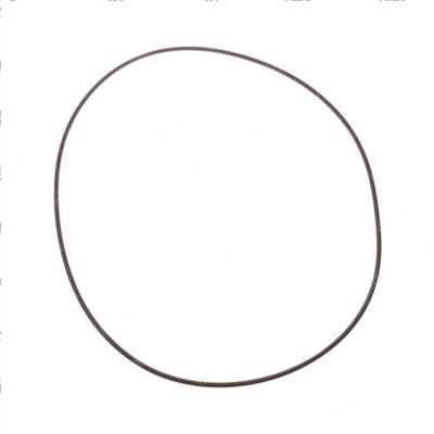 Picture of O-Ring