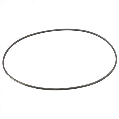 Picture of Belt V [3l] 61.0l