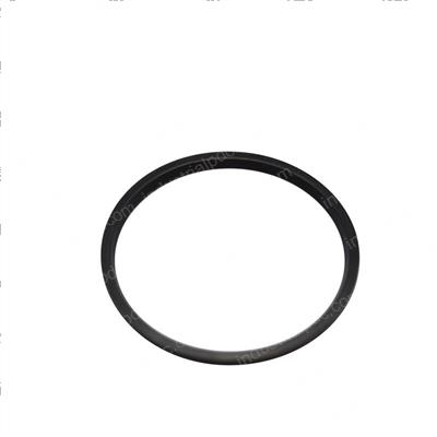 Picture of Seal - Oil