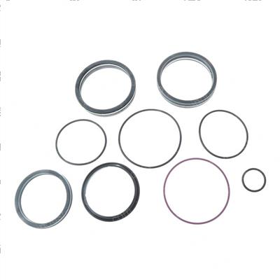 Picture of Seal Kit - Hydraulic Cylinder