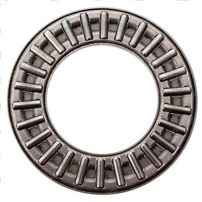 Picture of Bearing Thrust