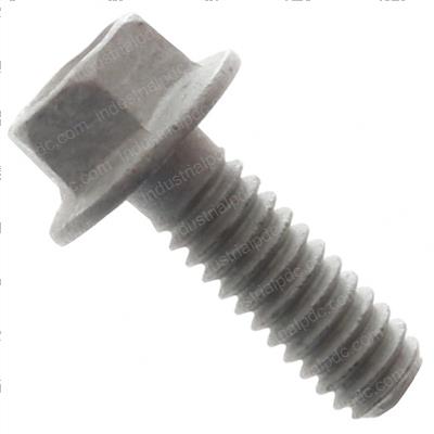 Picture of Bolt