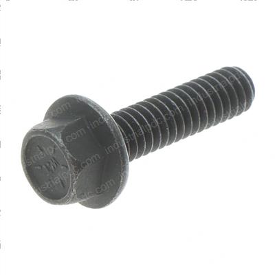 Picture of Bolt