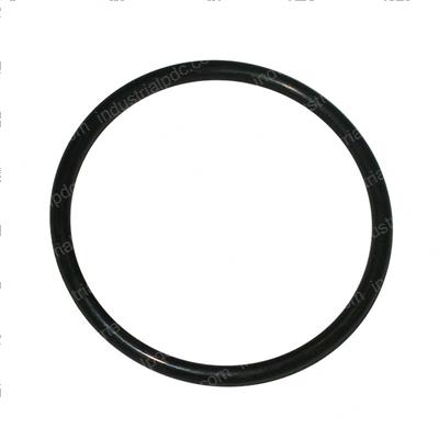 Picture of O-Ring