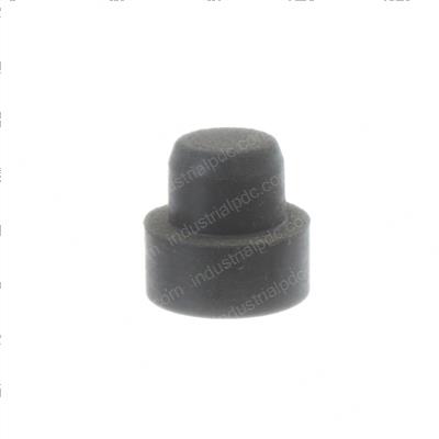 Picture of Plug