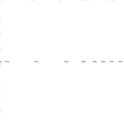Picture of Decal - Cap Indicator 3268