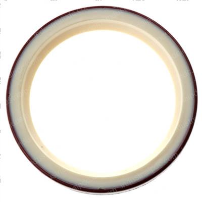 Picture of Seal