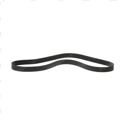 Picture of Belt - Serpentine