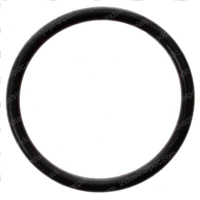 Picture of O-Ring