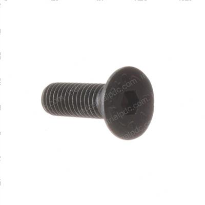 Picture of Screw