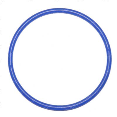 Picture of O-Ring