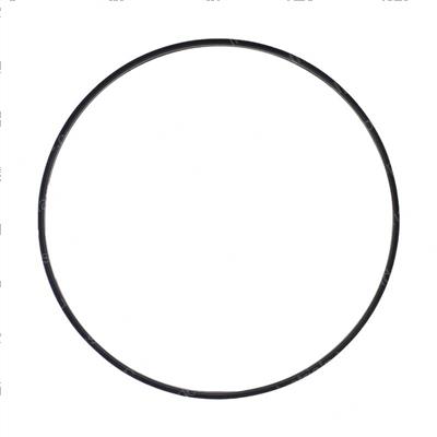 Picture of Lens W/ Gasket  Forfi