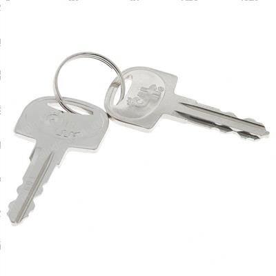 Picture of Keys  Ringed