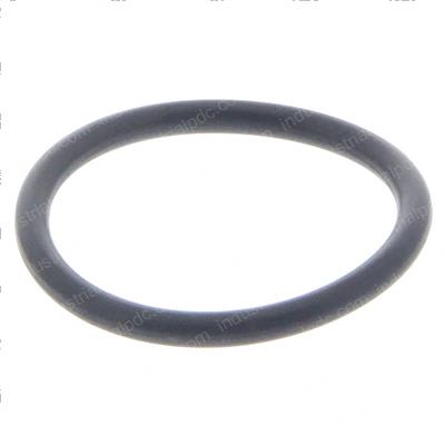 Picture of O-Ring - Converter