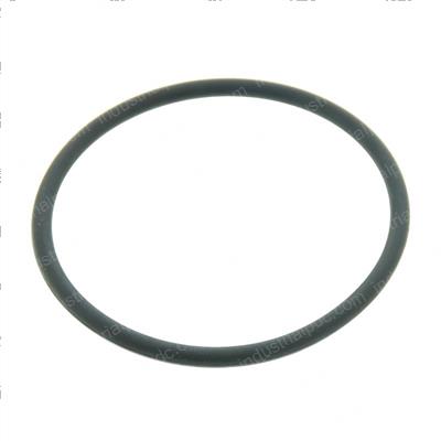 Picture of O-Ring