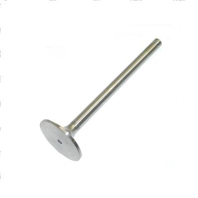 Picture of Intake Valve