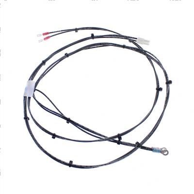 Picture of Wiring Harness
