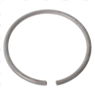 Picture of Spring - Gimbal