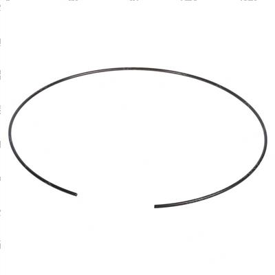 Picture of Ring