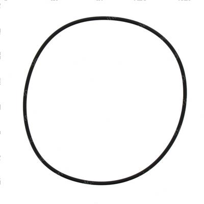 Picture of O-Ring