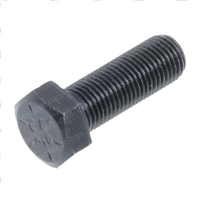Picture of Hex Bolt