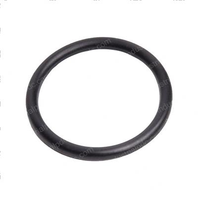 Picture of O-Ring