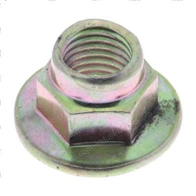 Picture of Nut