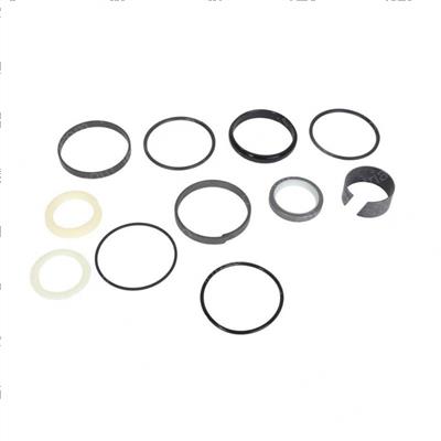 Picture of Seal Kit