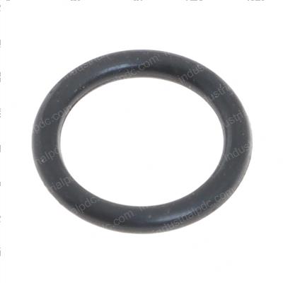 Picture of O-Ring