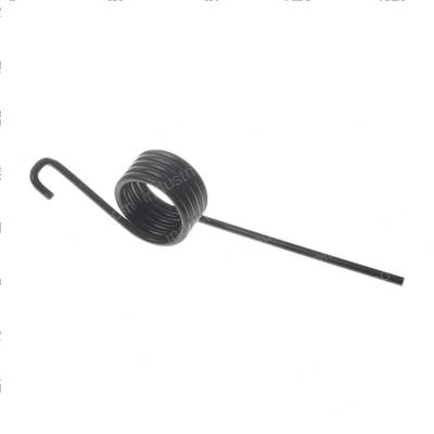 Picture of Spring-Torsion