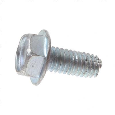 Picture of Bolt