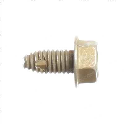 Picture of Bolt 5