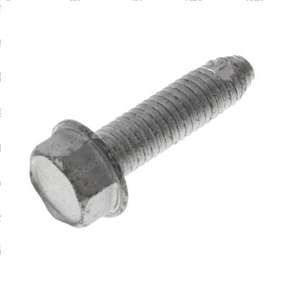 Picture of Bolt