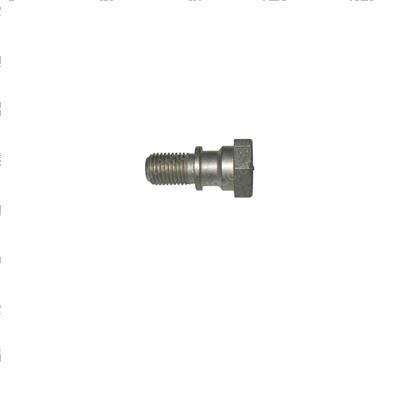 Picture of Bolt