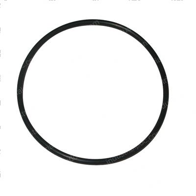 Picture of O-Ring